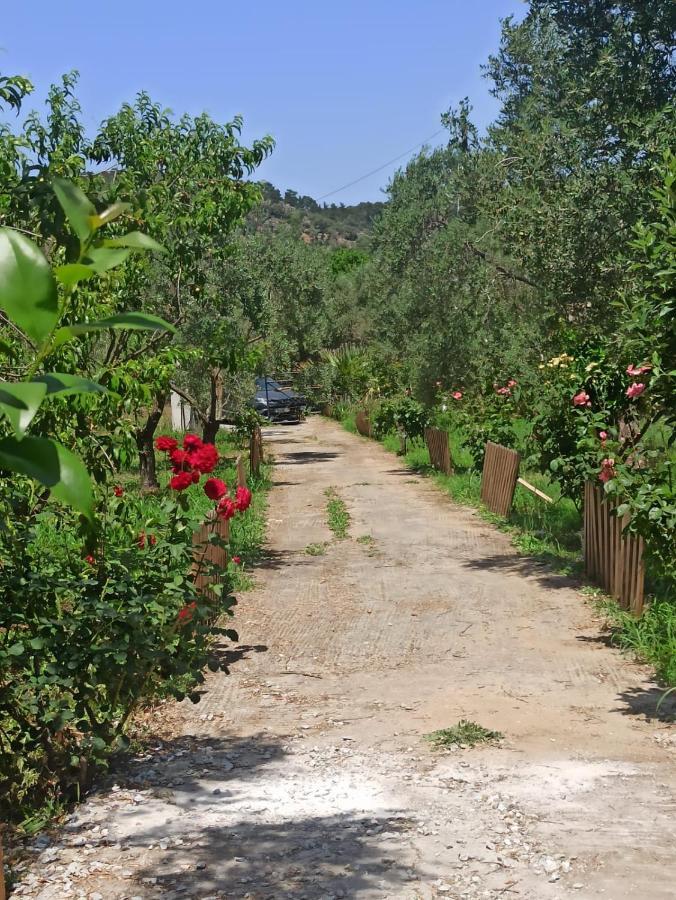 Sol'S Place Mytilíni المظهر الخارجي الصورة