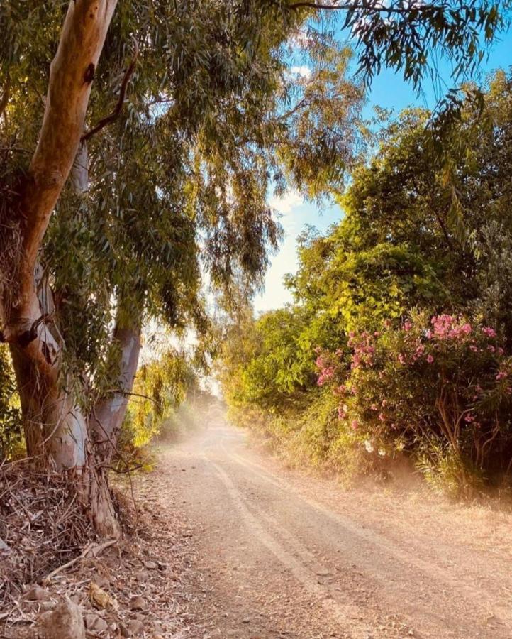 Sol'S Place Mytilíni المظهر الخارجي الصورة